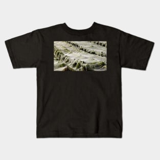 Vineyard Nets Kids T-Shirt